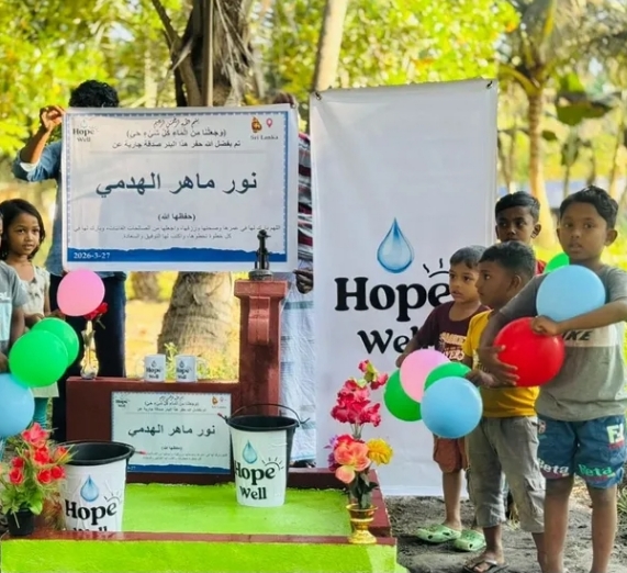water well with a hand pump in Sri Lanka - Image 6
