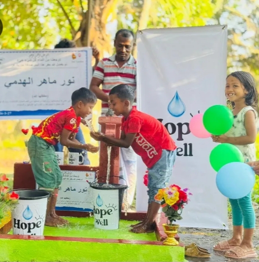 water well with a hand pump in Sri Lanka - Image 5