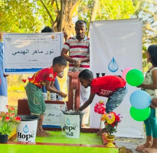 water well with a hand pump in Sri Lanka - Image 4