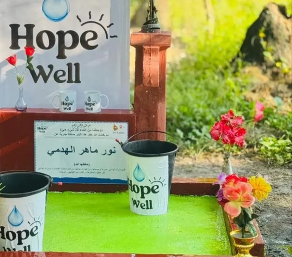 water well with a hand pump in Sri Lanka - Image 3